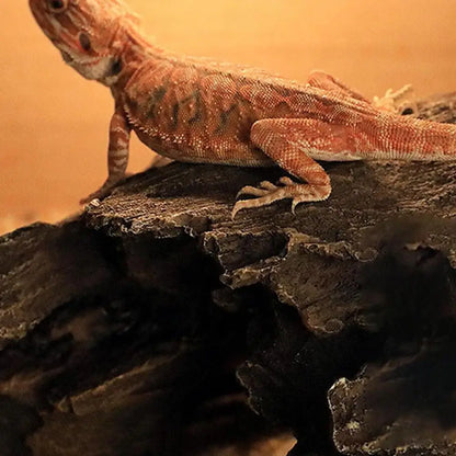 Reptile Hide Large Caves Reptile Hideouts Cave Habitat Shelter Decor For Snakes Turtle Lizards Fish Amphibians Reptile House