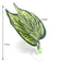 1Pc Artificial Aquarium Leaf Plants Decoration Betta Fish Rest Spawning Ornamental Plant Betta Fish Play Relax Hide Leaf Hammock