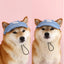 Outdoors Denim Pet Cat Hat Sunscreen UV Protection Summer Chihuahua Small York Dog Accessories Cute Animal Adjustable Head Wear
