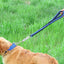 Durable Nylon Dog Leash Heavy Duty Spring Traffic Control Training Short Leashes for Medium Large Dogs Pitbull Pet Accessories