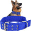 Heavy Duty Wide Military Thick Dog Collars for Large Dogs Adjustable Strong Nylon Tactical Pet Collar with 2-Rows Metal Buckle