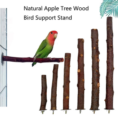 Natural Wood Pet Parrot Raw Wood Fork Tree Branch Stand Rack Squirrel Bird Hamster Branch Perches Chew Bite Toys Stick 1Pcs