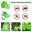 50Pcs Fruit Protection Anti-Bird Bags Strawberry Grapes Mesh Bag Plante Vegetable Netting Cover Garden Tool