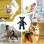 Dog vocal interactive plush toy Plush Squeaky Teething Toy Interactive Dog Toy Cleaning Teeth Anti Bite Abreact Plaything Bear