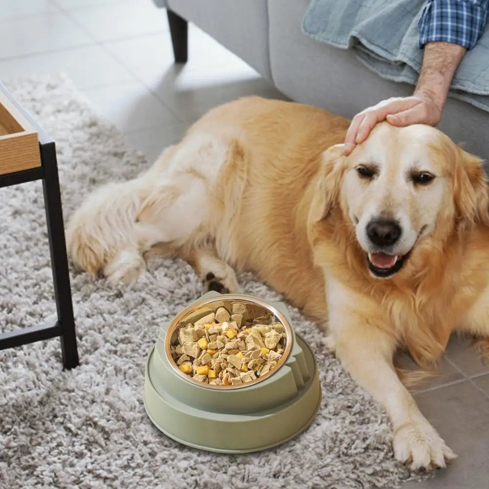Cat Bowl Non-Slip Pet Stainless Steel Food Bowls Ergonomic Design Cat Dog Food Bowl with 15 Degree Oblique Mouth Puppy Feeding