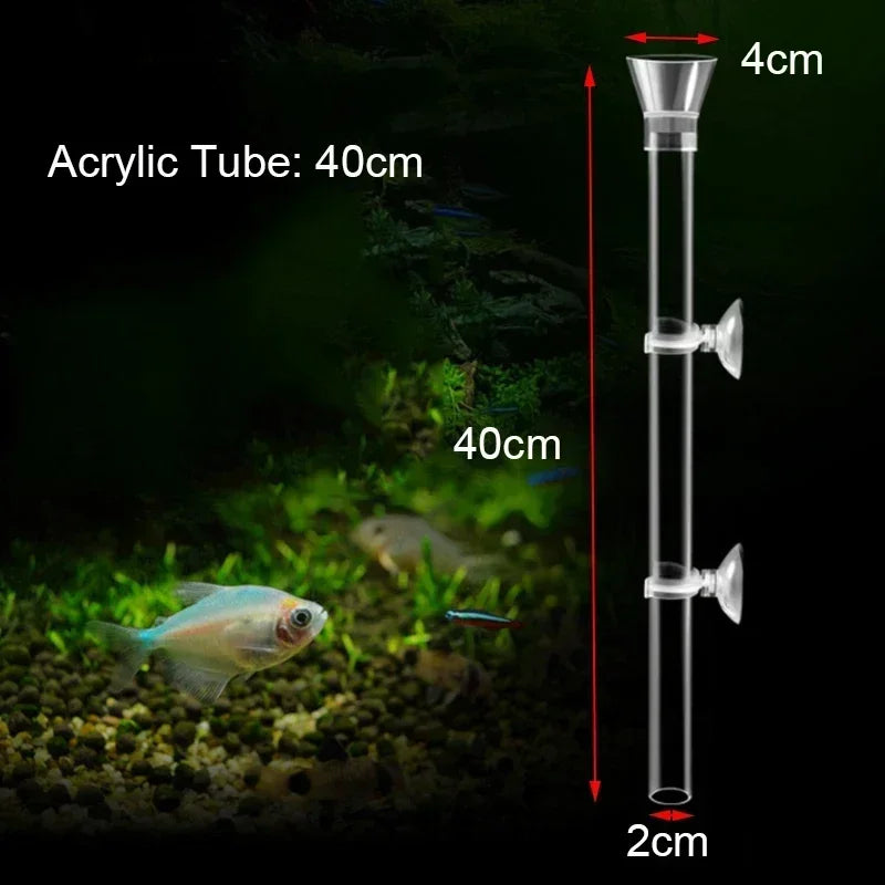 Acrylic Aquarium Feeder Tube Dish Transparent Fish Tank Shrimp Snail Shrimp Food Feeder Bowl Aquarium Feeding Accessories