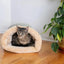 Pet Supplies Goods for Cats Accessory Houses and Habitats Cushions House Accessories Basket Dog Bed Puppy Things Mat Products
