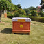 Hot Sale Thermo Insulated Beehive HDPE One-Layer Langstroth Plastic Bee Hive for Beekeeper
