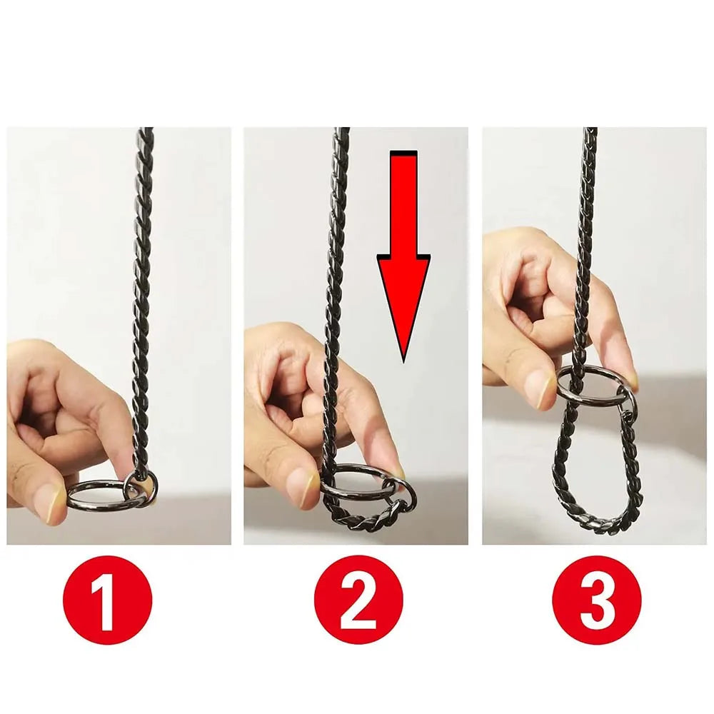Integrated Dog Slip Chain Collar Leash 304 Stainless Steel Dog Metal Choke Collar Pet Training Leash Show with Leather Handle