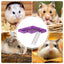 Hamster Platform With Ladder Safe PVC Play Gym With Ladder Pet Supplies Small Animal Habitat Decor For Hamsters Hedgehogs
