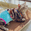 Sweet Sphynx Cat Physiological Pants with Straps Denim Female Pet Safety Sanitary Panties for Cats Gota Animals mascotas Costume