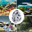 Shrimp Hides For Aquarium Shrimp Fish Tank Hide Cave For Small Fish Porous Stable Aquarium Hideouts Cave For Betta Fish Tank