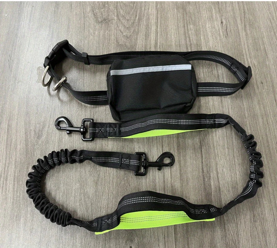 Dog Leash Hands-free With a Waist Bag  Hold Items Harness for Small Breeds Dogs Choker Collar Personalized Nylon Dog Accessories