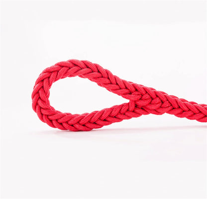 Durable Nylon Dog Collar Leash Set Traction Rope Medium Big Dog Walking Accessories Labrador Husky P-Chain Travel Pet Products