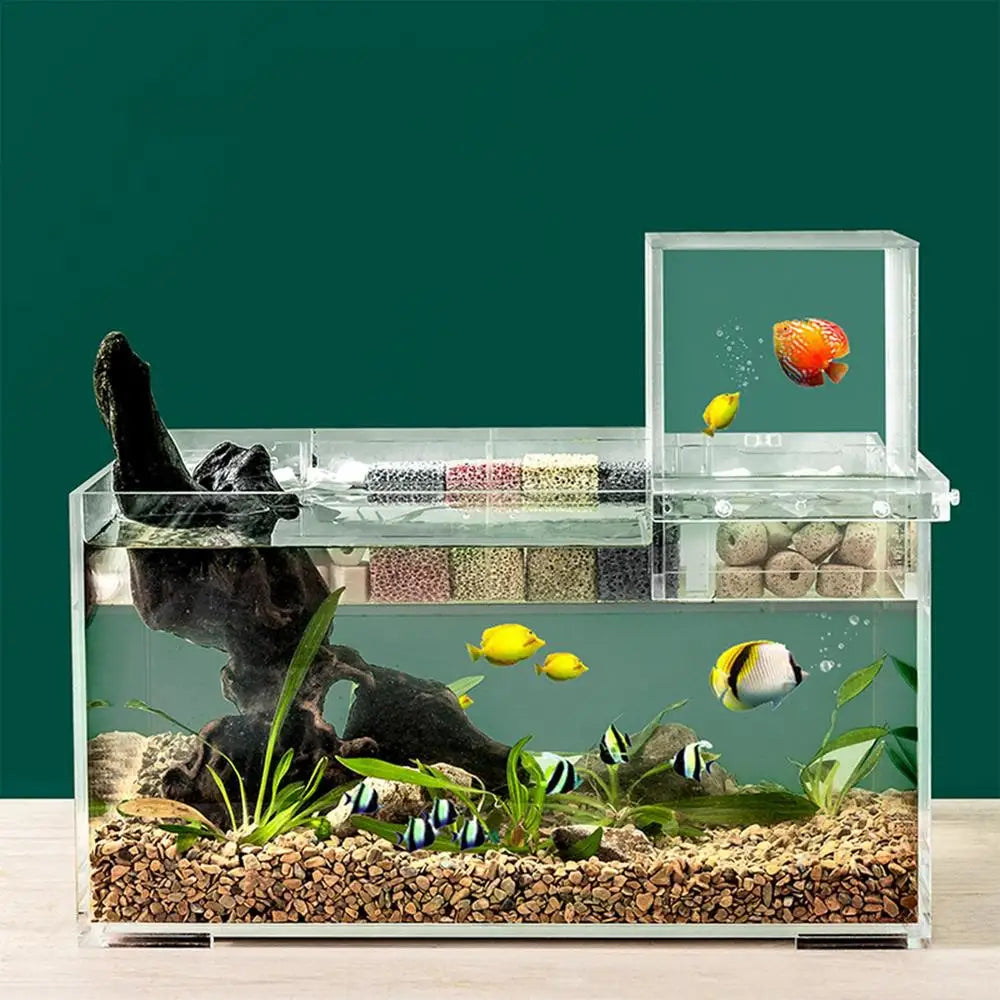 Fish Aquarium Tank Small Transparent Fish Elevator Tank Lightweight Acrylic Inverted Above Water Fish Tank Aquariums Fish Bowls