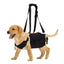Dog Harness Medium Sized Dog Easy Walking Pull Dog Harness Dog Vest Harness with Control Handle No Choke Pet Neck Harness