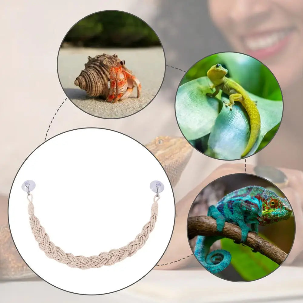 Hermit Crab Toys Hermit Crab Toys Reptile Tank Terrarium Accessories Reptile Tank Terrarium Accessories Hermit Crab Climbing