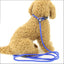 Nylon Dog Leash Pet Puppy Slip Lead Rope Dog Slip Leash Chain Collar Adjustable No-Pull Dog Training Leash for Small Dogs Yorkie