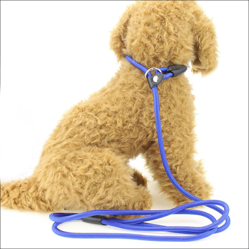 Nylon Dog Leash Pet Puppy Slip Lead Rope Dog Slip Leash Chain Collar Adjustable No-Pull Dog Training Leash for Small Dogs Yorkie