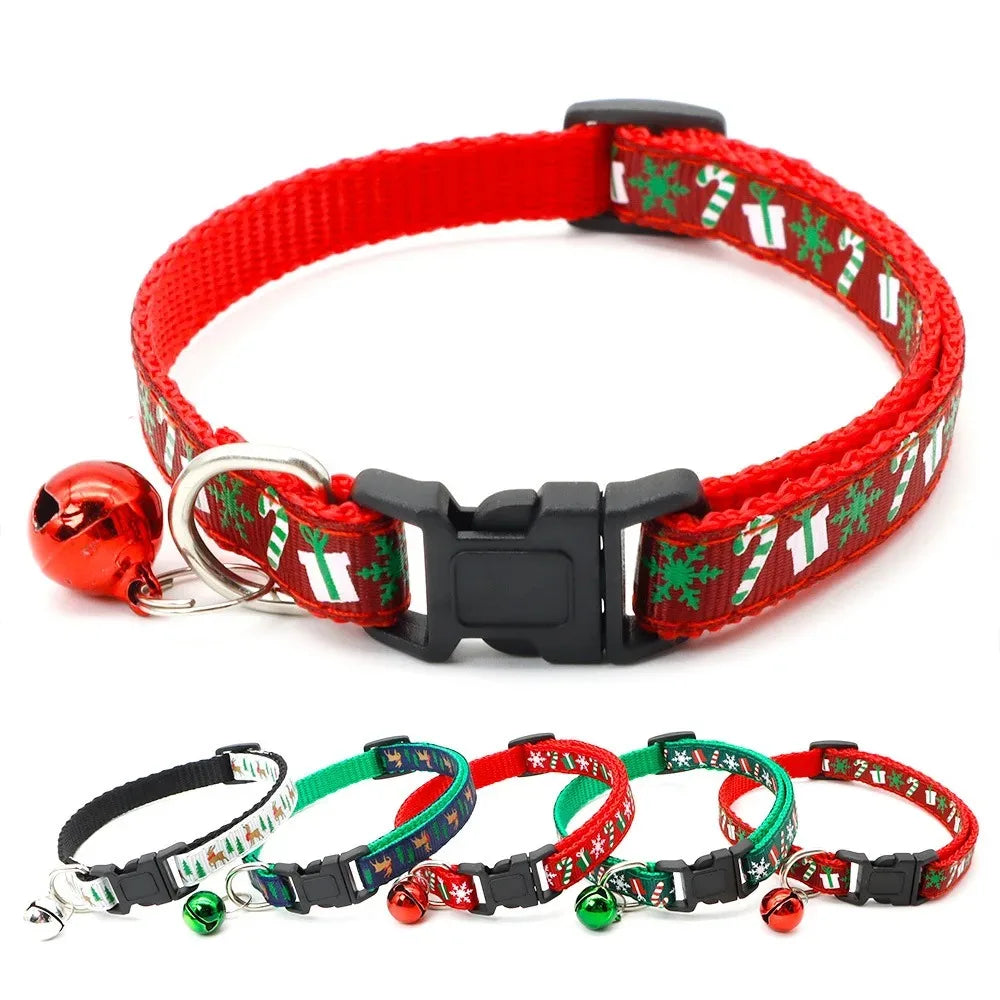 Dog Collar and Leash Accessories Pet Things Training Necklace Strap Dogs Small Harness Bulldog French Large Goods