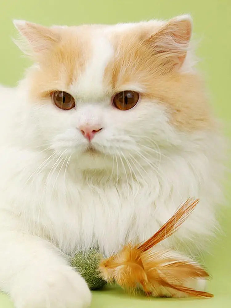 Catnip Ball Feather Cat Toy Ball Feather Cat Tooth Cleaning Cat Toy Catnip Ball Interactive Chew Catnip Pet Supplies