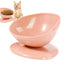 Raised Cat Food Bowl Spill Proof Cat Bowls Portable Dog Food Feeding Pet Feeder with Anti Slip Base for Indoor Cats Puppy Dogs
