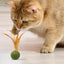 Catnip Ball Feather Cat Toy Ball Feather Cat Tooth Cleaning Cat Toy Catnip Ball Interactive Chew Catnip Pet Supplies