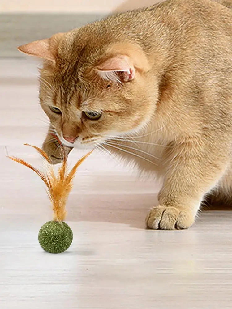 Catnip Ball Feather Cat Toy Ball Feather Cat Tooth Cleaning Cat Toy Catnip Ball Interactive Chew Catnip Pet Supplies