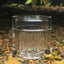 High Transparent  Aquarium Fish Tank Acrylic Decoration Clear Snail Trap Catcher Plants Planarian Pest Catch Box Leech 8 Holes