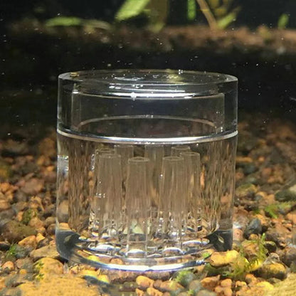 High Transparent  Aquarium Fish Tank Acrylic Decoration Clear Snail Trap Catcher Plants Planarian Pest Catch Box Leech 8 Holes