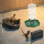 Automatic Reptile Water Dish Feeder Automatic Reptile Water Dish With Bottle Tortoise Turtle Water Dispenser For Bearded Dragons