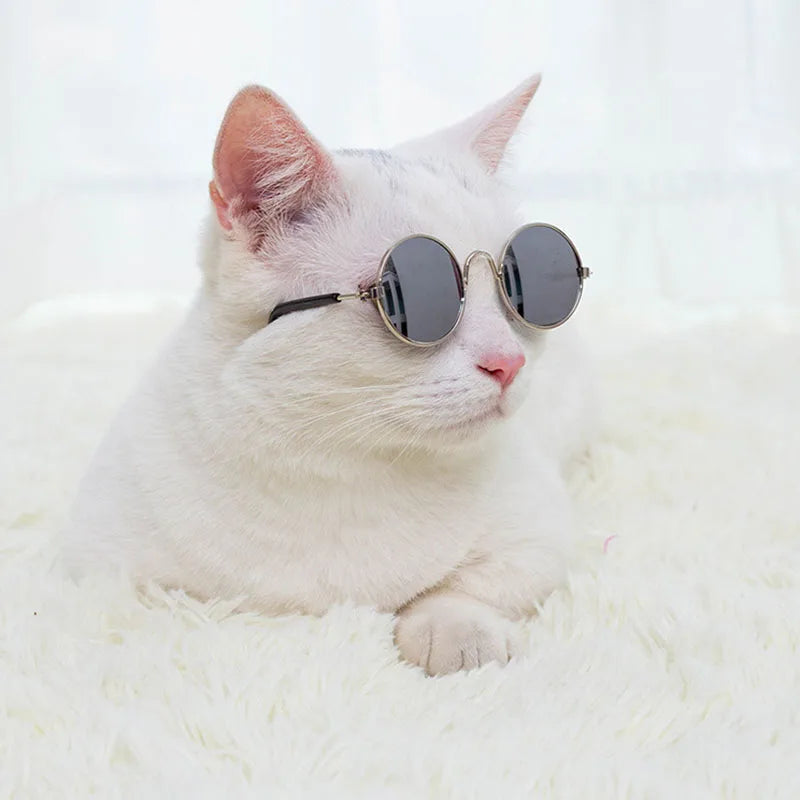 Anti-slip Cat Sunglasses Pet Accessories Small Dog Sun Glasses Classic Retro Circular Glasses for Kitten Photos Props Cosplay