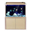 SUNSUN HLT Series View Ornamental Aquarium Arowana Large Glass Fish Tank For Home And Company Use