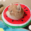 Cat Recovery Collar Protective Cute Collar After Surgeries Soft Adjustable Elizabethan Collars For Kitten Small Dogs