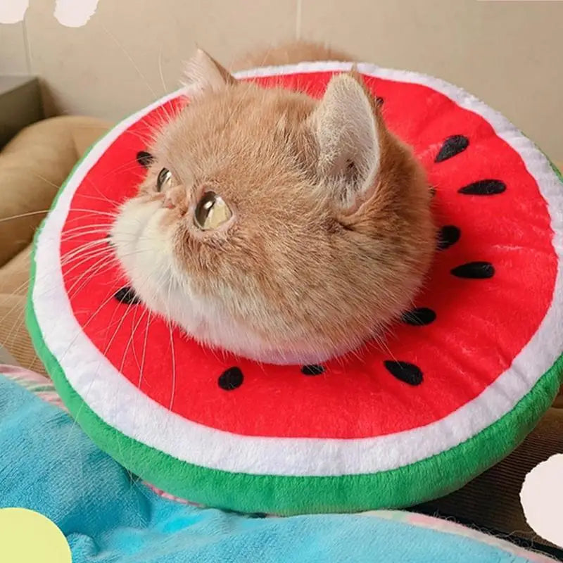 Cat Recovery Collar Protective Cute Collar After Surgeries Soft Adjustable Elizabethan Collars For Kitten Small Dogs