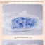 Pet Diapers, Puppies' Menstrual Diapers, Male Dogs, Female Dogs, Physiological Pants