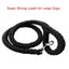 Nylon Dog Leash