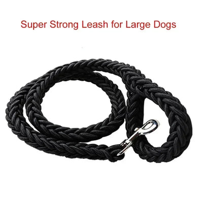 Nylon Dog Leash
