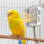 Bird Warmer For Cage Bird Heater Simulates Natural Environment Lighting Bird Lamp Simulates Natural Environment For Parrots