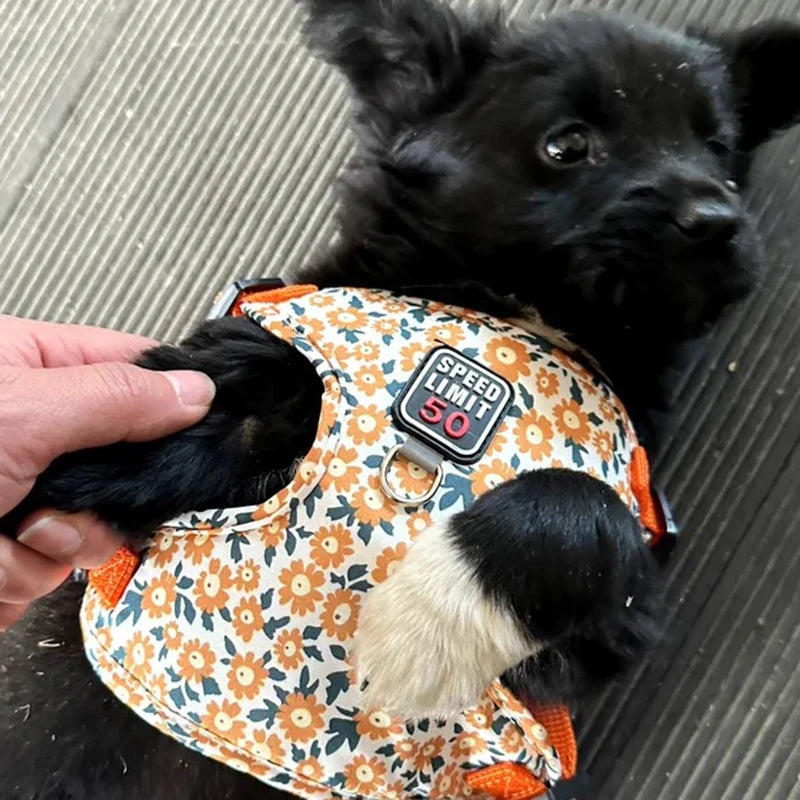 Floral Print Puppy Medium Dog Harnesses and Leash Set Reflective Pet Harness Vest for Small Dogs French Bulldog Shiba Inu Leads