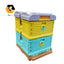 Beekeeping Equipment  2 Layer Honey Bee Hive Box 10 Frame Price Custom Kit Food Grade Color Thermo Plastic Beehive for Sale