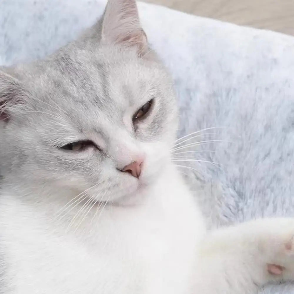 Plush Cat Bed Bag Pet Cat Plush Sleeping Bag Semi-Enclosed Bed Small Medium Large Cats Warming Pad Sack For Autumn Winter