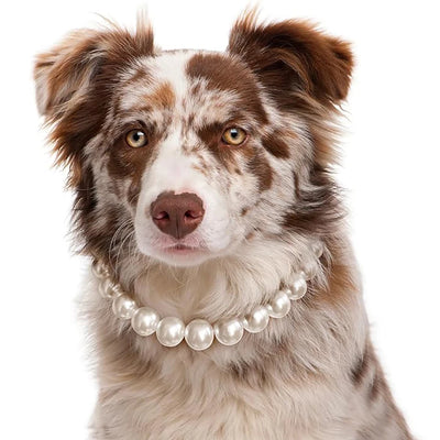 16mm Elegant Dog Pearl Necklace Collar for Small Medium Large Dogs, Pet Accessories Luxury Pearl Necklace Jewelry for Dogs