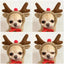Funny Pet Dog Cat Halloween Costume Dog Costumes for Small Dogs Cosplay Elk Transformed Winter Warm Dog Clothes