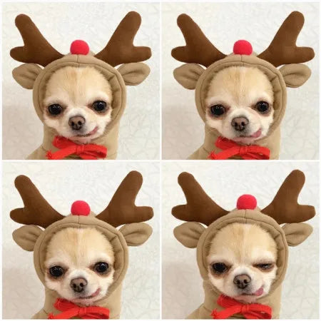 Funny Pet Dog Cat Halloween Costume Dog Costumes for Small Dogs Cosplay Elk Transformed Winter Warm Dog Clothes