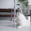 Cat Toy Feather Cat Teaser Wand Cat Interactive Toy Funny Caterpillar Colorful Rod Teaser Wand Pet Cat Supplies Cat Accessory