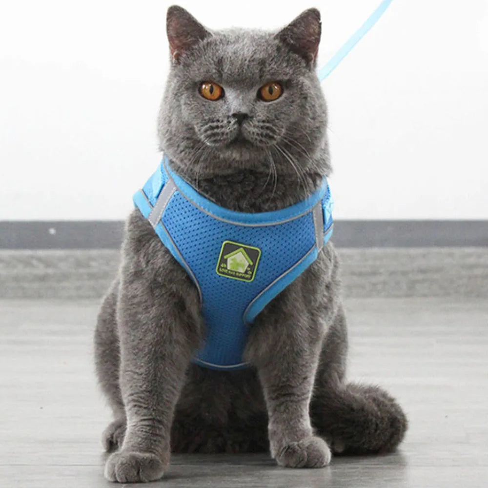 Breathable Cat Harness with Leash Anti-Escape Cat Vest Harness Collar for Kitten Pet Accessories Adjustable Puppy Harness Leads