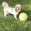 Giant Tennis Ball For Dog Chew Toy Pet Dog Interactive Toys Big Inflatable Tennis Ball Pet Supplies Outdoor Cricket Dog Toy