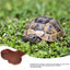 Reptile Tub Reptile Bathing Pool With Ramp And Basking Platform Aquarium Ornament For Turtle Bearded Dragon Gecko For Balcony