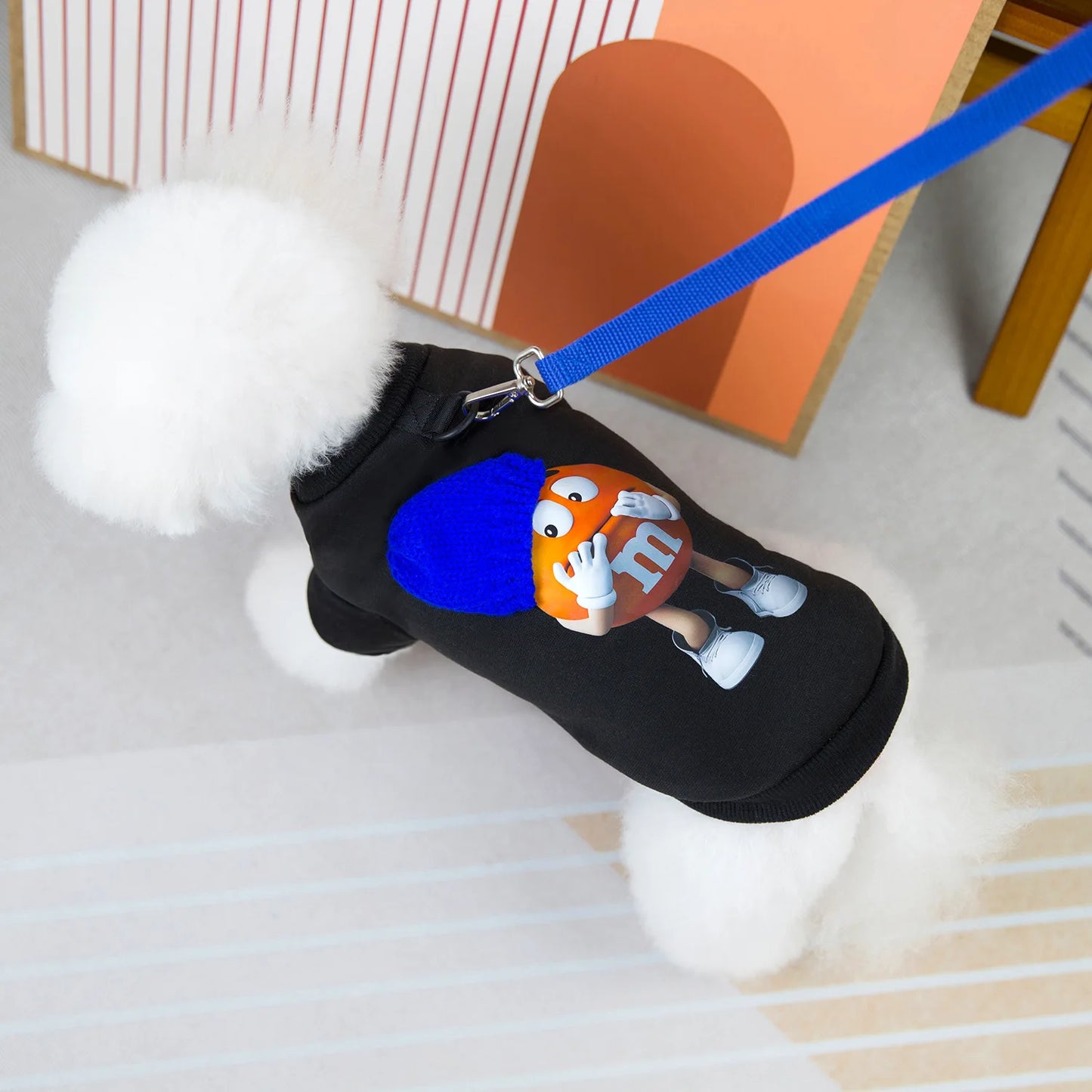 Funny Dog Hoodies for Small Dogs,Warm Fleece Hoodie Sweater Cartoon Puppy Pullover Coat Autumn Winter Clothes Yorkie Pet Apparel